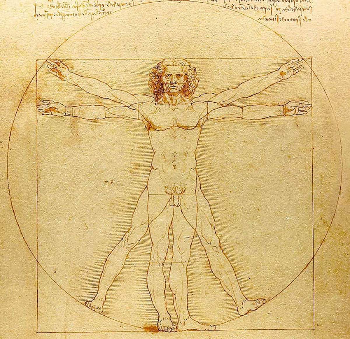Uomo Vitruviano Leonardo da Vinci
